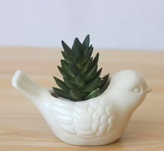 Wish I was famous as&nbsp;Paddy